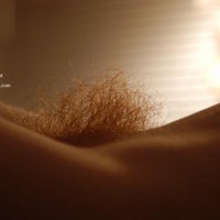 Big Fiery Bush - Hairy Bush , Big Fiery Bush, Bush Shot, Pubic Hair Closeup, Unshaved Pussy, Fire In The Hole, Blue See Through Thong, Fiery Bush