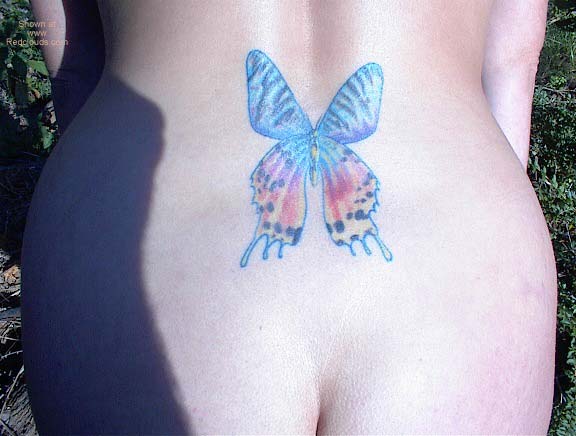 Pic #1Butterfly9 Full Contri