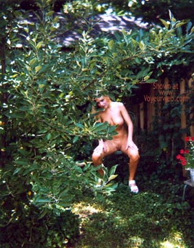 Pic #1 Naked Girl in My Backyard