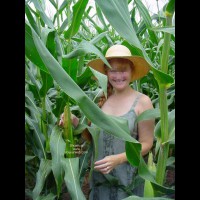 Jigsey's Corn Field