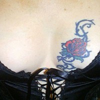 Pic #1 Sweet Chest