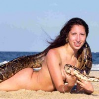 Snake at The Beach