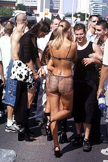 Pic #1 Love Parade 2002 Vienna