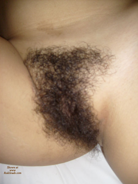 Pic #1My Very Sexy And Hairy Thai Girlfriend