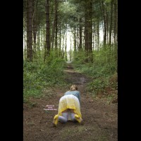 Pic #1 Down In The Woods