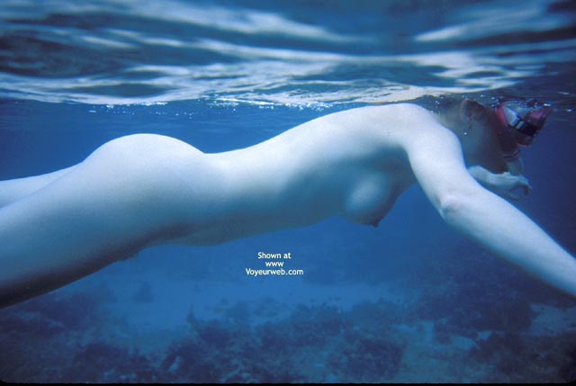 Nude Snorkeller - Nude Amateur , Swimming Just Under The Surface, Blue Babe, Skin Diving, Naked Snorkeling, Blue Snorkler, Underwater Nude, Nude  Underwater, Naked Swimmer, Diving In Nude, Rare Mermaid Sighting