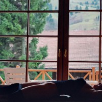 Solo Of Madame M. In The Window Of A Hotel In Black Forest