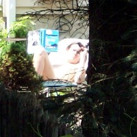Pic #1 French Neighbor