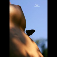Topless With Butterfly On Body - Nipples , Topless With Butterfly On Body, Sexy Closeups, Nipple Closeup, Art, Butterfly Boob, Nature S Curves, Outdoor Nipple Profile