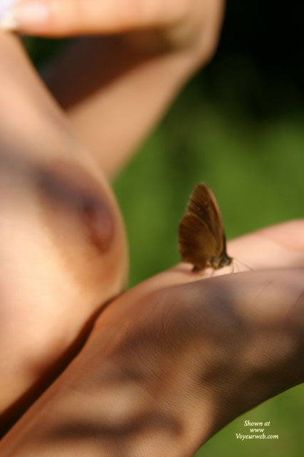 Nipples Closeup - Close Up , Nipples Closeup, Closeup, Artistic Shoot, Nipple, Nude In Outdoors, Naked In Outdoors, Butterfly On Hand, Blurry Tits
