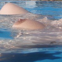 Boobs Afloating - Big Tits, Huge Tits , Floating Boob, Big Areola, Wet Nipples, Erect Wet Nipples, Floating In Pool On Her Back Naked, Floating Boobs, Girl Floating On Water, Exposing Bare Breasts, Big Brown Nipples