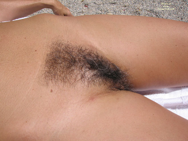 Full Black Bush - Dark Hair, Hairy Bush, Tan Lines, Trimmed Pussy, Naked Girl, Nude Amateur , Close-up Pussy, Natural Bush, Pussy Close Up, Nude Sunbathing, Very Hairy Dark Pussy, No Tan Lines, Pussy Shot, Unshaved Pussy