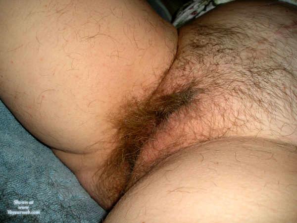 Pic #1Hairy Pussy... Before Trim - Bush Or Hairy