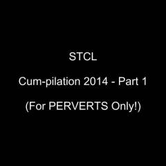 STCL - Cum-pilation 2014 - 1 of 2 - Big Tits, Blowjob, Facials, Penetration Or Hardcore, Pussy Fucking, Wife/wives
