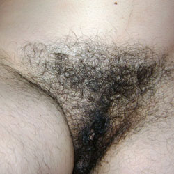 My Hairy Wife - Wife/wives, Bush Or Hairy