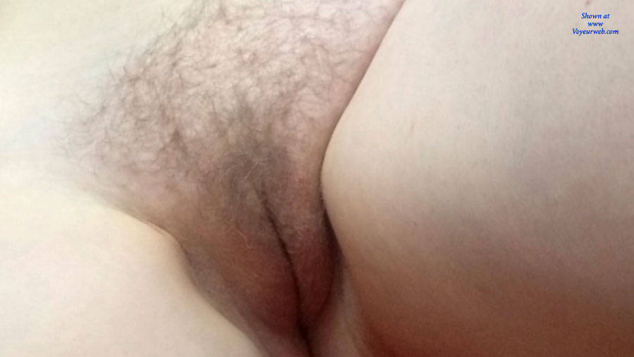 Pic #1Exhibition - Bush Or Hairy