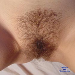 For  Bush Lovers Only - Bush Or Hairy