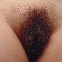 Just For Bush Lovers - Bush Or Hairy