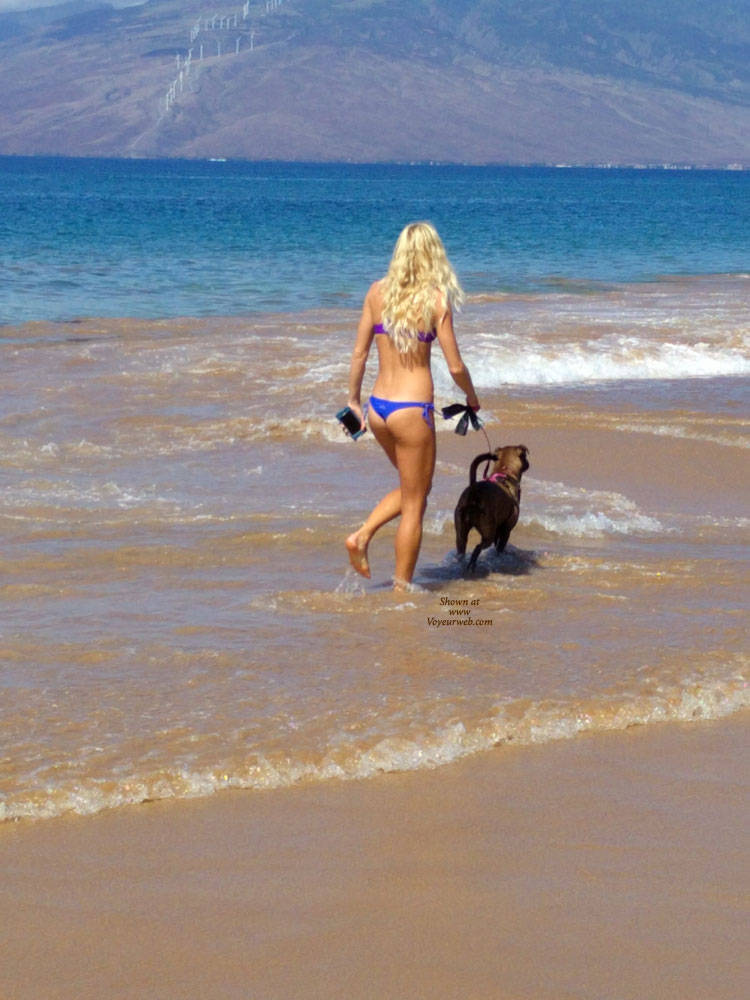 Pic #1Walking The Dog - Brunette, Outdoors, Bikini Voyeur, Beach Voyeur