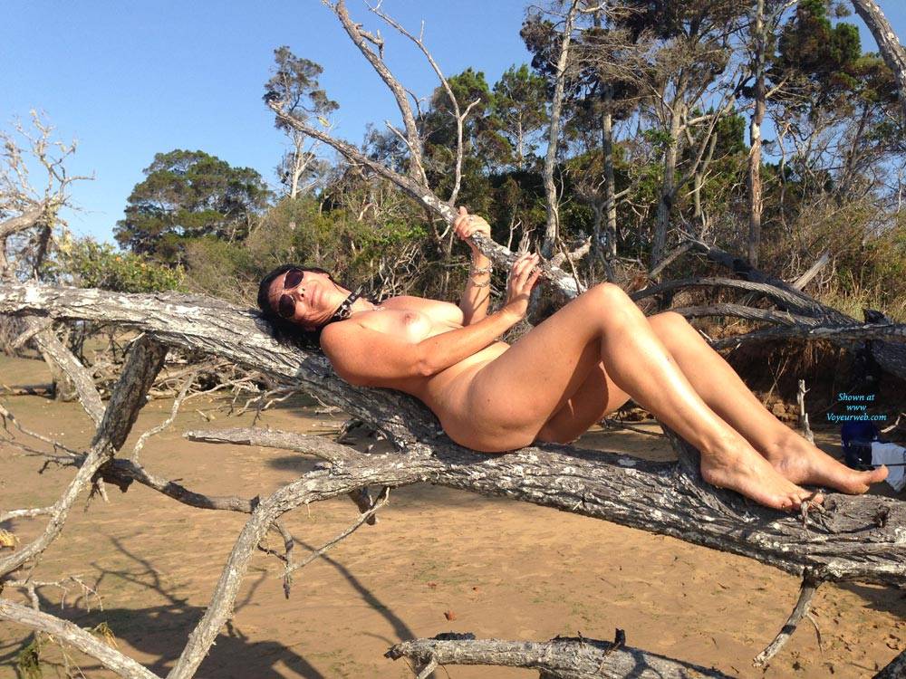 Pic #1Cougar In A Tree - Beach, Big Tits, Brunette, Outdoors