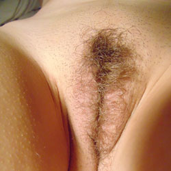 Pic #1 Wife Growing Her Bush Out - Bush Or Hairy, Close-ups, Wife/wives
