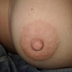 My small tits - Csfun