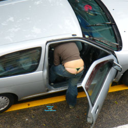 Pic #1 Whail Tail - Outdoors