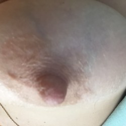 My medium tits - Pamela D