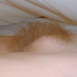 Pic #1 Blonde Bush And Mound - Bush Or Hairy, Close-ups
