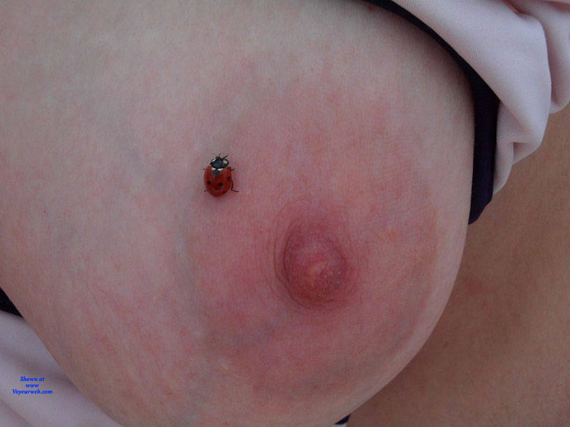 Pic #1 Japot - Ladybug Appears - Big Tits, Outdoors, Amateur