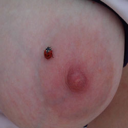 Japot - Ladybug Appears - Big Tits, Outdoors, Amateur