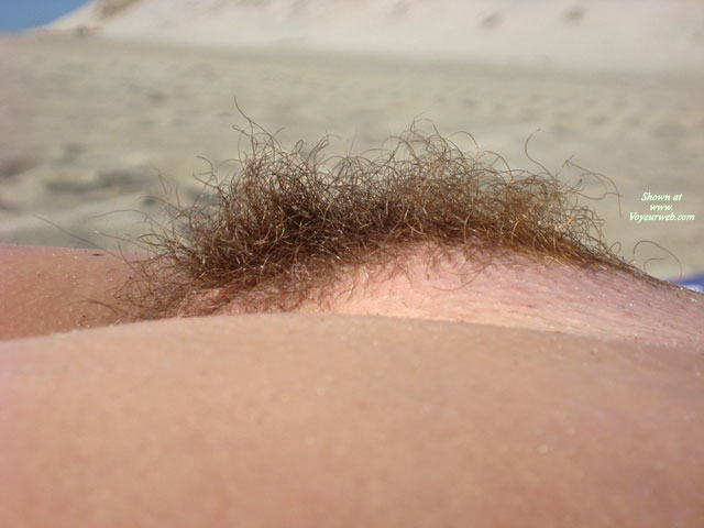 Dark Pussy Hair - Dark Hair , Dark Pubic Hair, Bush On The Beach, Hairy Beach View, Bushy Muff, Beach Pussy, Hairy Pussy
