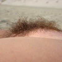 Dark Pussy Hair - Dark Hair , Dark Pubic Hair, Bush On The Beach, Hairy Beach View, Bushy Muff, Beach Pussy, Hairy Pussy