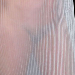 Pic #1 Sheer Elegance - Bush Or Hairy, Lingerie, Nude Wives, Round Ass, Round Tits, See Through, Big Tits
