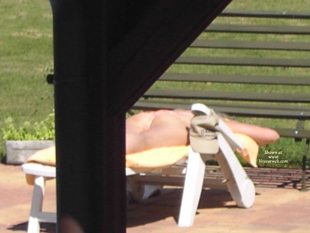 Pic #1 My Neighbour