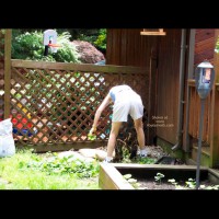 Pic #1 Wife Working In Garden