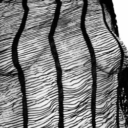 Pic #1 JAPOT - thin black lines set