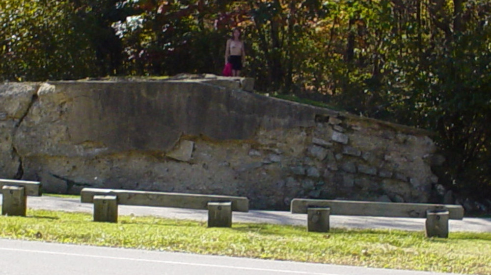 Pic #1 my horny little housewife