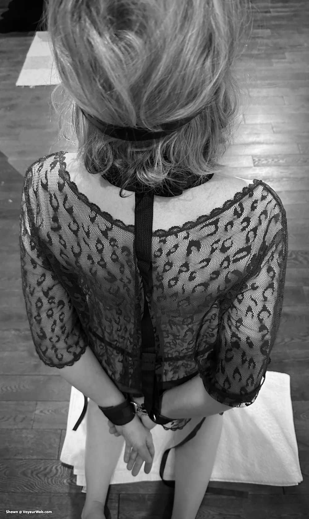 Pic #1 Bound for Pleasure