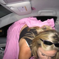 Driving Them Wild 3