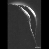 Closeup - Black And White, Close Up, Rear View, Wet , Closeup, Rear Shot, Wet Skin, Black And White, Black And White Ass In Shadow