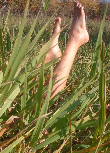 Legs In Grass , Legs In Grass, Legs On A Summers Day, Feet On A Summers Day