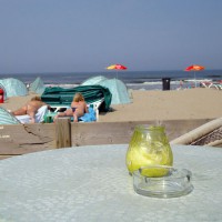 Dutch Asses In Zandvoort