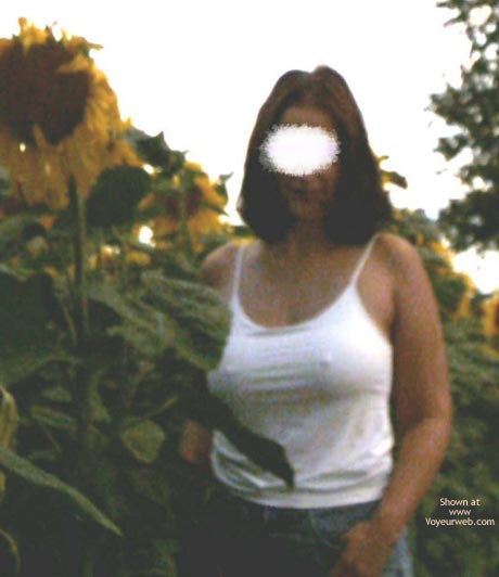 Pic #1 Sunflowers Field 2003, 26 yo, Germany