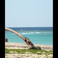Pic #1 Punta Cana Girls