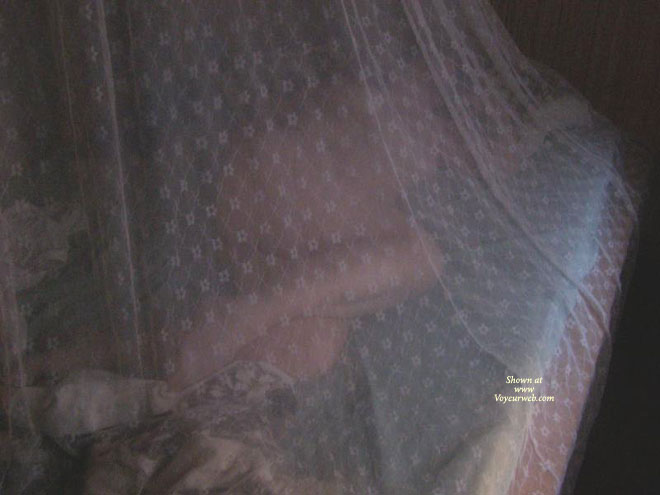 Pic #1Mosquito Netting...
