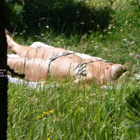 Pic #1 St. Moritz - Top Of The........